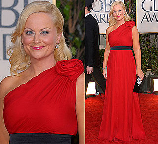 Amy Poehler in Jay Godfrey at 2010 Golden Globes Awards
