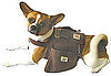 Saddlepacks by Dogonwear