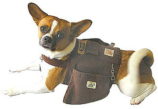 Saddlepacks by Dogonwear