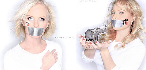 Grab Bag! The McCain Women Say No to Prop 8 