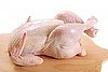 Study Suggests That Eating Meat Can Lead to Urinary Tract Infections (UTIs)