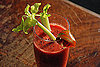 Recipe For Asian Bloody Mary Using Shochu, Sake, or Soju