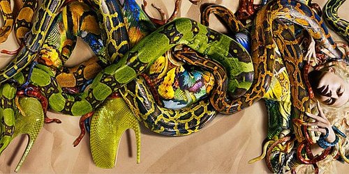 Fab Ad: Alexander McQueen, Spring '10