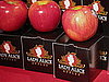 Best Apple Varieties