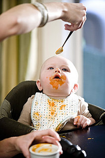 Gourmet Baby Food