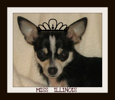 Miss America Pageant