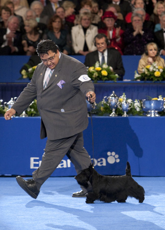 The AKC/Eukanuba National Champion Is... 