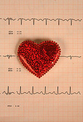 Heart Disease Is the Leading Cause of Death Amongst Women Heart Disease Is the Leading Cause of Death Amongst Women