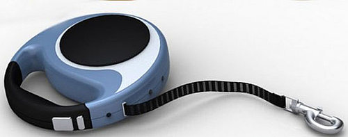 Do You Need an Electricity-Generating Leash?
