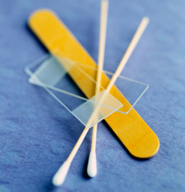 Facts About Viruses