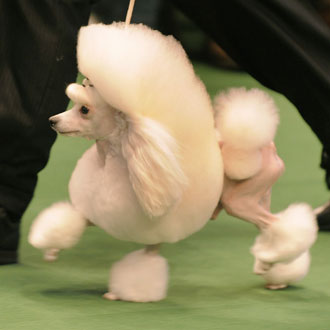 Image Image