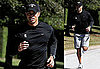 Photos of Tiger