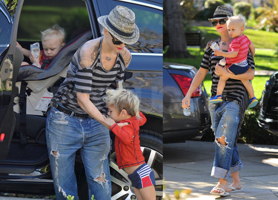 Photos of Gwen, Zuma and Kingston