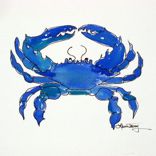 Chesapeake Bay Blue Crab