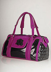 New Product Alert! Rock & Republic Pet Collection