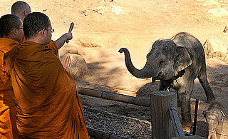 Buddhist Monks Offer a Blessed Naming Ceremony For Mali 