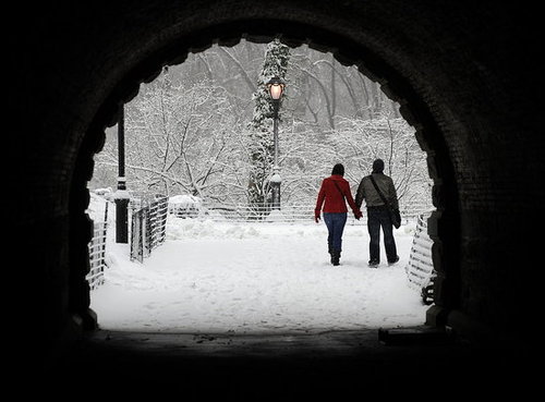 Snow in Central Park Photos