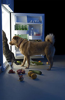 Do Tell: If Pets Had Thumbs . . .