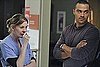 Recap and Review of Grey's Anatomy Episode "Perfect Little Accident"