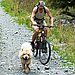 Go Ride a Bike