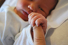 Newborn Reflexes