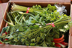 Poll: Do You Subscribe to Community Supported Agriculture? Poll: Do You Subscribe to Community Supported Agriculture?
