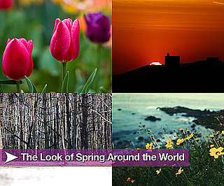 Sugar Shout Out: The Look of Spring Around the World
