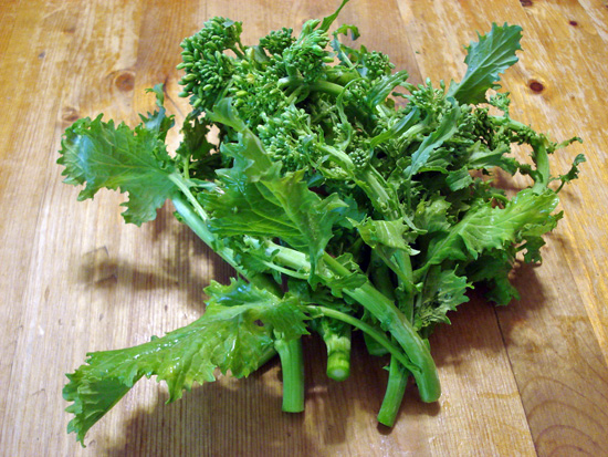 Broccoli Rabe 
