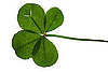 Irish Tunes For a St. Patrick's Day Workout