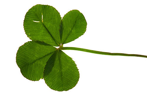 Irish Tunes For a St. Patrick's Day Workout