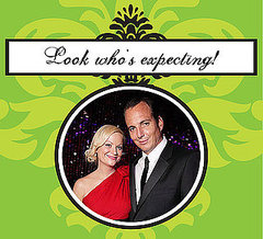 Amy Poehler and Will Arnett Expecting Second Baby Amy Poehler and Will Arnett Expecting Second Baby