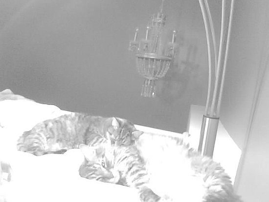 Awwww! Wakey Wakey!!!