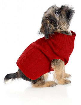 Online Sale Alert! Brooks Brothers Doggie Gear 50 Percent Off