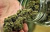 California Could Become First State to Legalize Marijuana