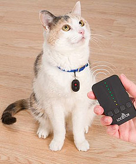 Lost Feline Locator Homing Tags