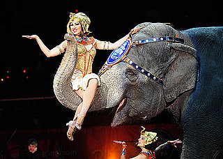 Tips to Prepare a Child For the Circus