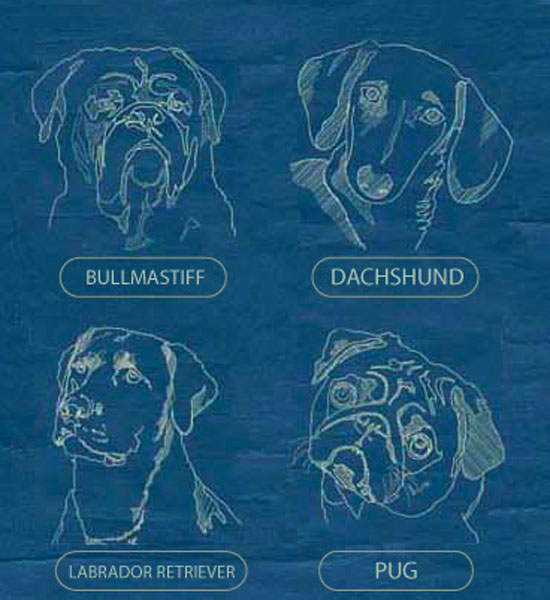 I.M. Paws, Canine Architect I.M. Paws, Canine Architect