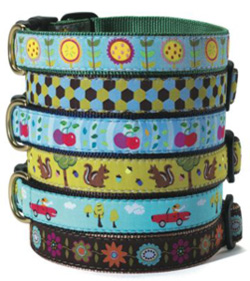 Up Country Releases Larkspur Collection