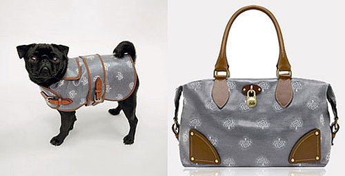 Matching Purses and Dog Clothing