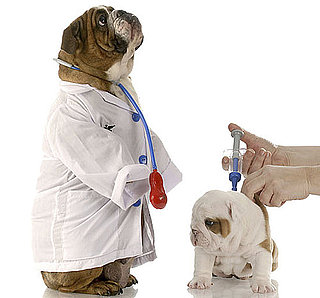 3 Tips to Limit Your Doggie's Doctor Office and Vet Visit Anxiety