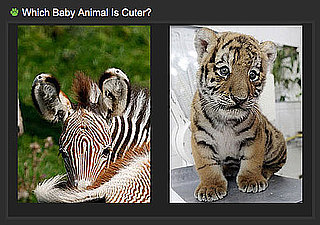 Pick the Cuter Zoo Baby For a Chance to Win! 2010-04-21 04:00:04