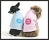 Not a Girl and Not a Boy Shirts For Dogs