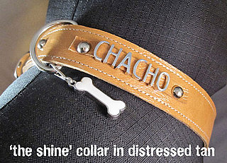 Customizable Pet Collars