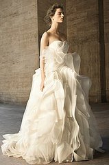 Vera Wang David's Bridal Wedding Dresses 2010-04-20 10:00:22