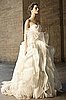 Vera Wang David's Bridal Wedding Dresses
