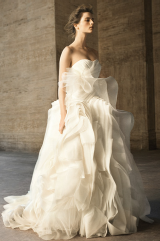Vera Wang David's Bridal Wedding Dresses
