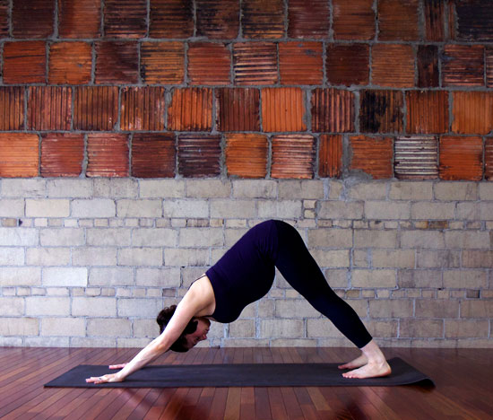 Downward Facing Dog Downward Facing Dog