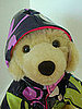Custom Raincoat For Dogs
