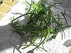 Is It Necessary to Stem Herbs?