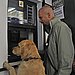 I'll Take Two Tickets For Must Love Dogs, Please!
